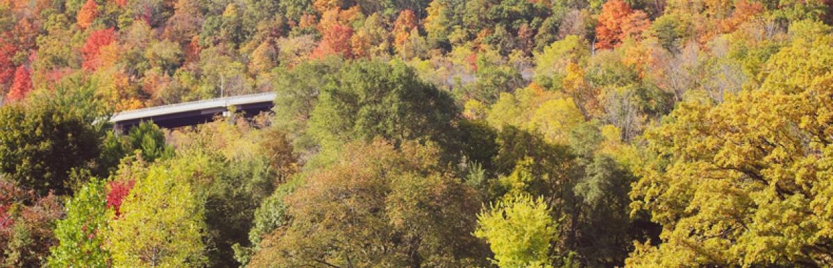 Dundas driving park in early fall with the tree leaves just starting to turn red