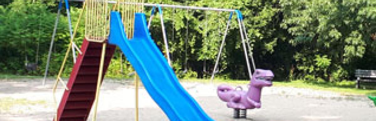 Existing play structure at Margaret Street Park during the summer time