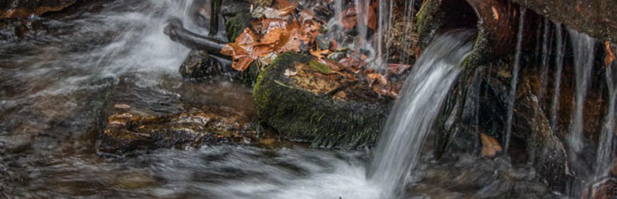 Stormwater runoff into a creek full of rocks and leaves
