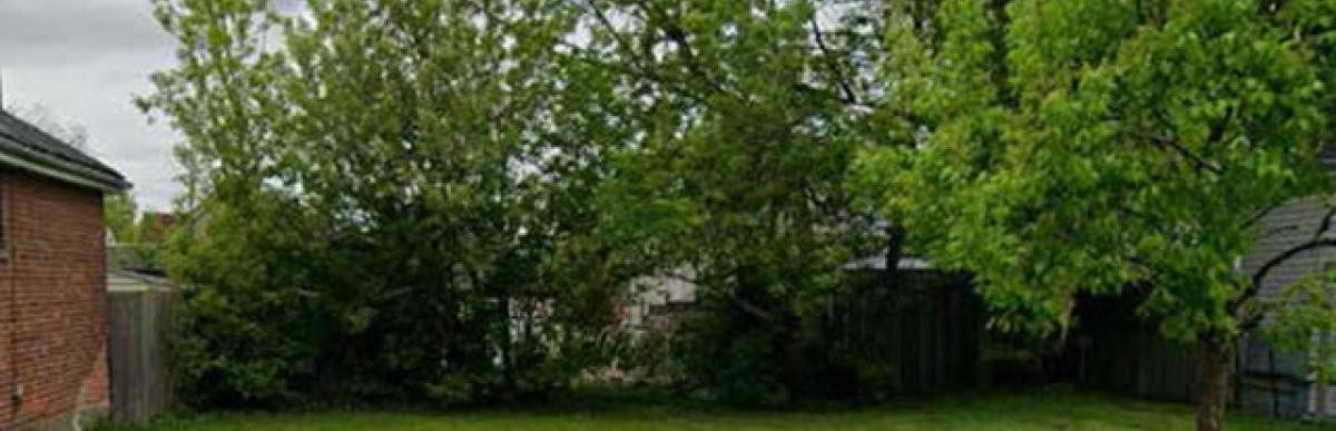 Empty grassed lot with trees for 79 Frederick Avenue, Hamilton