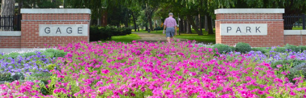 Entrance to Gage Park at Main & Gage, with lots of pink flowers in the garden in front of the gate.