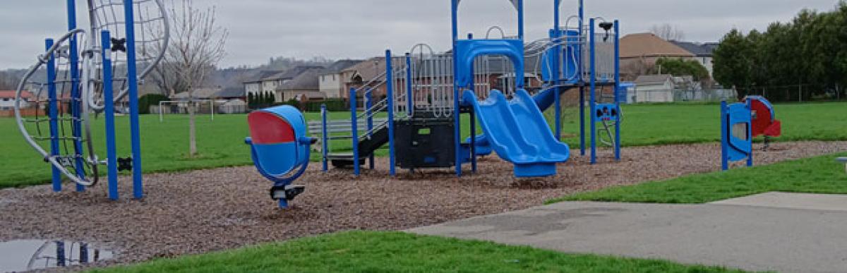 Existing play structure and playground at Dover Park on a cloudy day