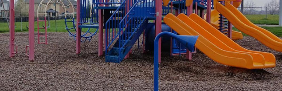 Randall Park existing playground structure