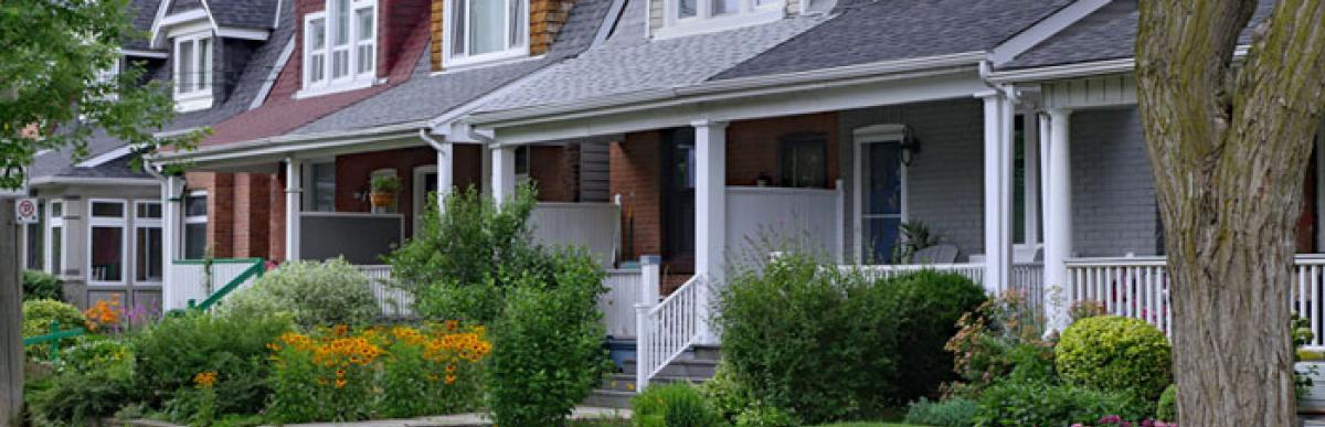 A row of houses with small front lawns, some grassed, some naturalized