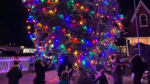 Holiday tree lighting at night, tree with snow and lights