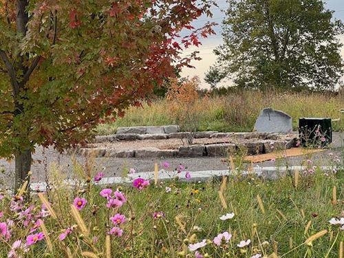 garden setting with stones set in a circle surrounded by trees and wild flowers