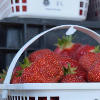 Close up of strawberries in a basket