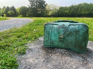 green suitcase art installation in park