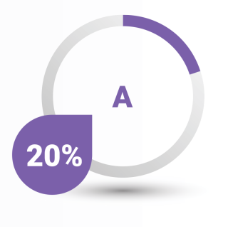 Alignment with City of Hamilton Priorities: 20%