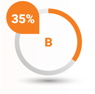 Project Criteria: 35%